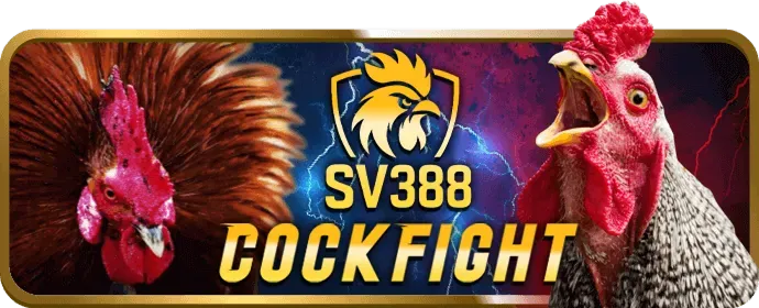Chương trình hoàn trả và thưởng nạp lại ysb66